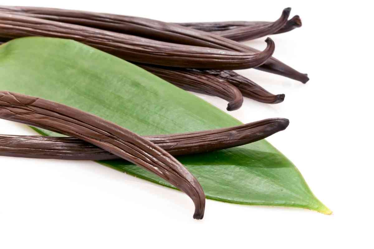 Where To Find Vanilla Beans In Grocery Stores (Explained)