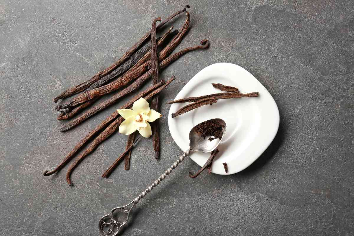 Where To Find Vanilla Beans In Grocery Stores (Explained)
