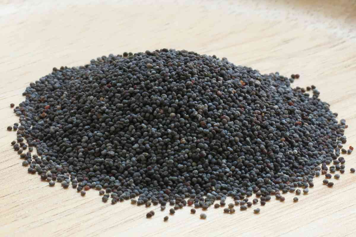 Where To Find Poppy Seeds In Grocery Stores