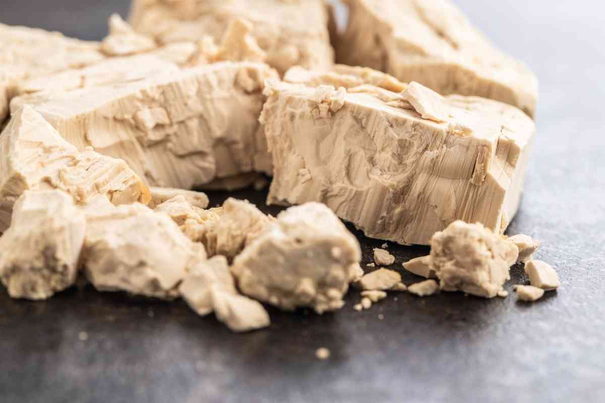 Where To Find Fresh Yeast In Grocery Stores