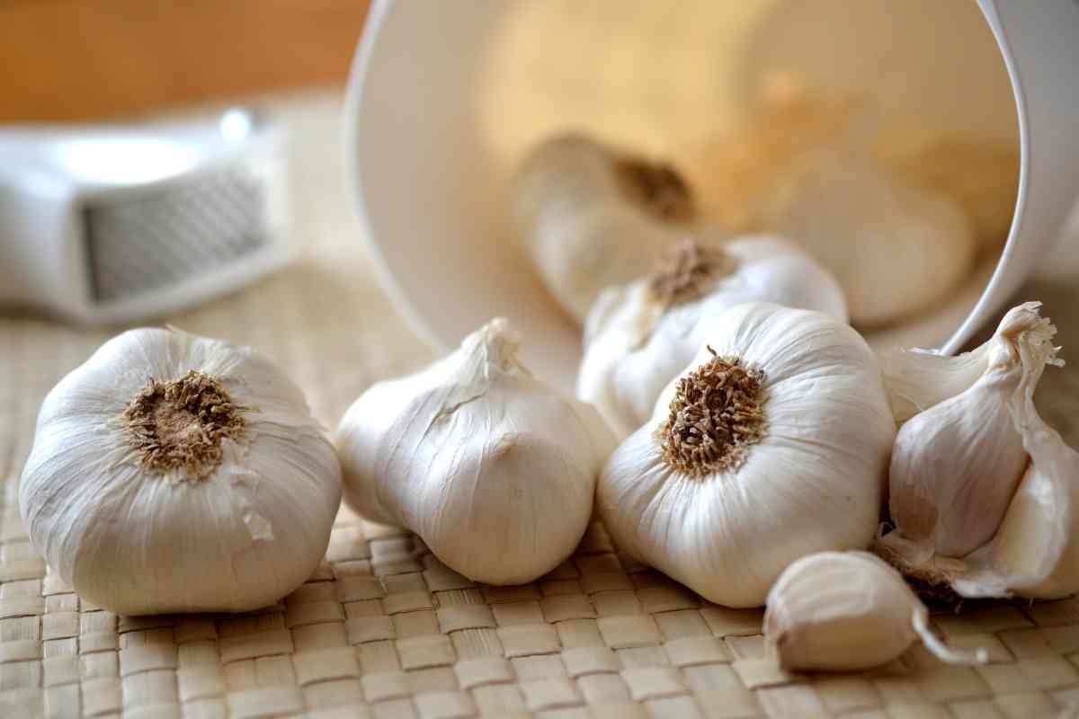 Where To Find Garlic Cloves In Grocery Stores
