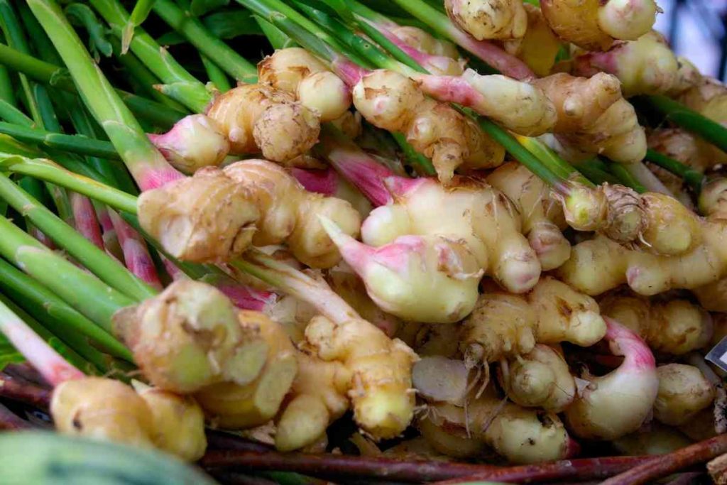 Where To Find Fresh Ginger In Grocery Stores
