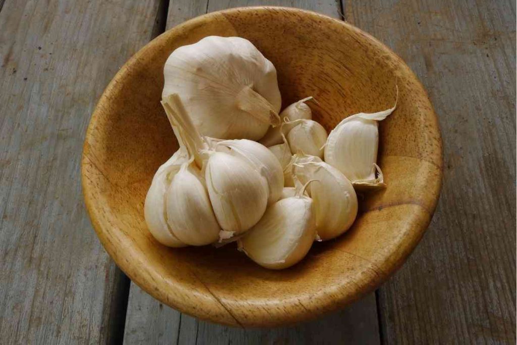 Where To Find Garlic Cloves In Grocery Stores