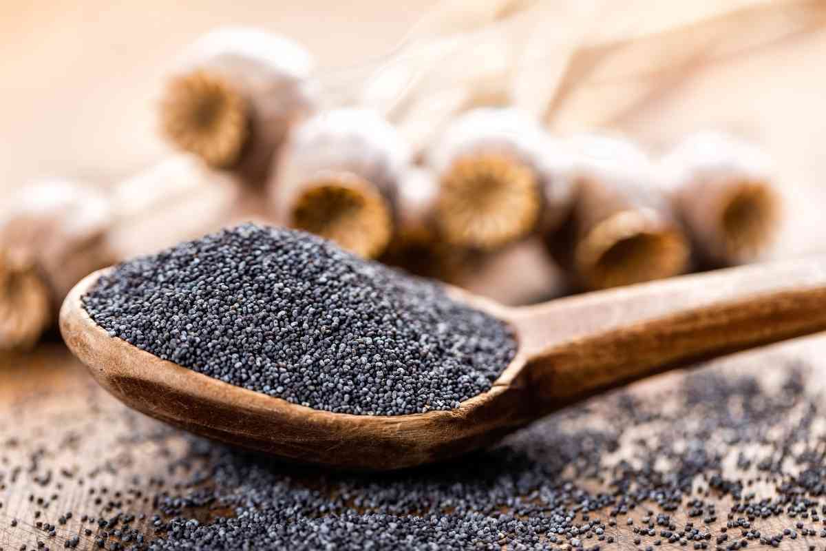 Where To Find Poppy Seeds In Grocery Stores