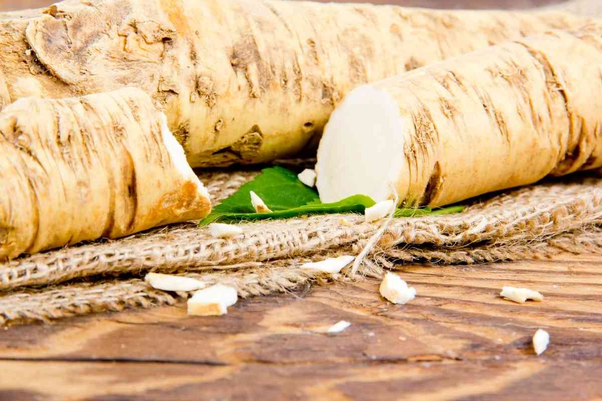 Where To Find Horseradish In Grocery Stores