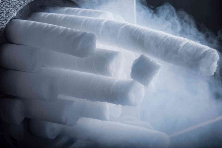 Does Target Sell Dry Ice? (Answered)