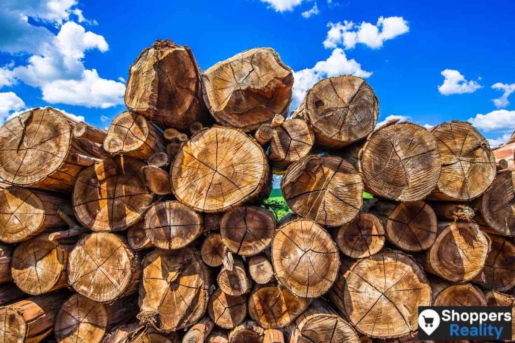 Does Publix Sell Firewood