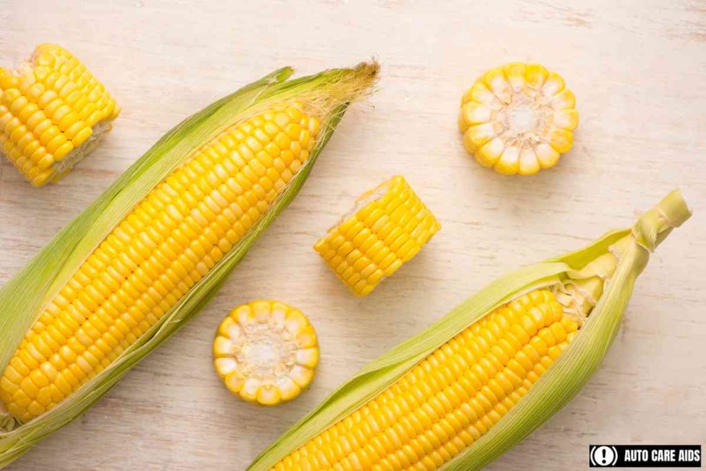 Where to Buy Fresh Corn on the Cob Near Me