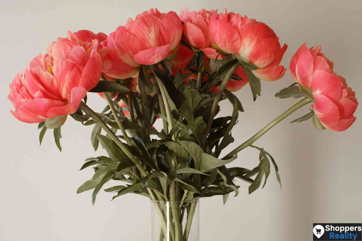 Does Aldi Have Flowers in 2024? (All You Need to Know!)