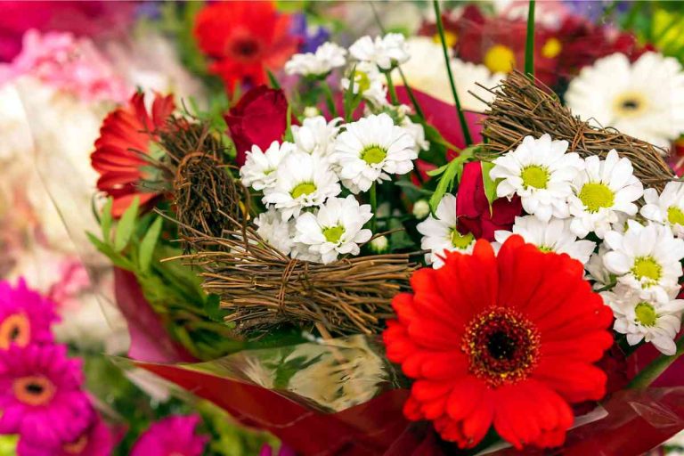 Does CVS Sell Flowers in 2024? (Let's Find Out)