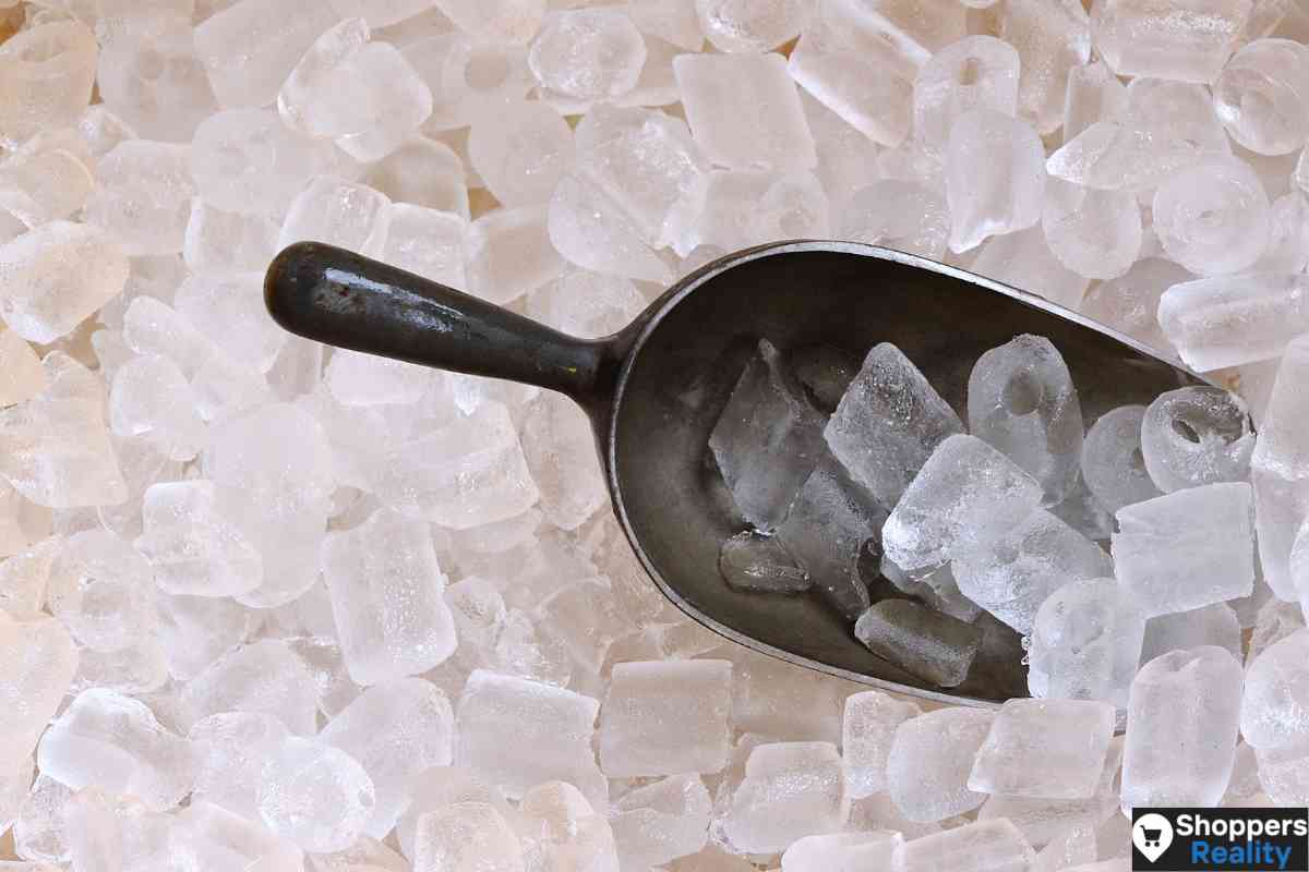 Does Aldi Sell Ice? (Let's Find Out!)